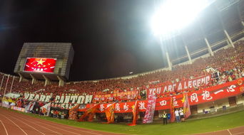 九游体育官网入口-“在金牛区城北体育馆,舞者们以最完美的姿态迎接2025世界运动会运动舞蹈赛!” 第3张