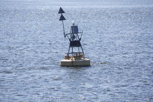 九游网页官网-中方蝶泳入水角度更锐利？图解数据分析，中国蝶泳厉害吗